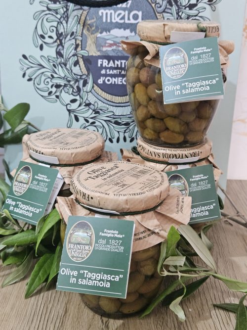 OLIVE TAGGIASCHE IN SALAMOIA  FRANTOIO ONEGLIA