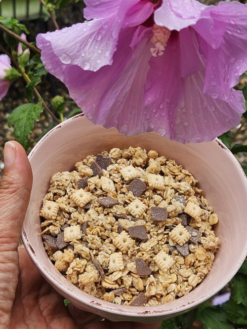 MUESLI CROCCANTI BISCOTTO E CIOCCOLATO