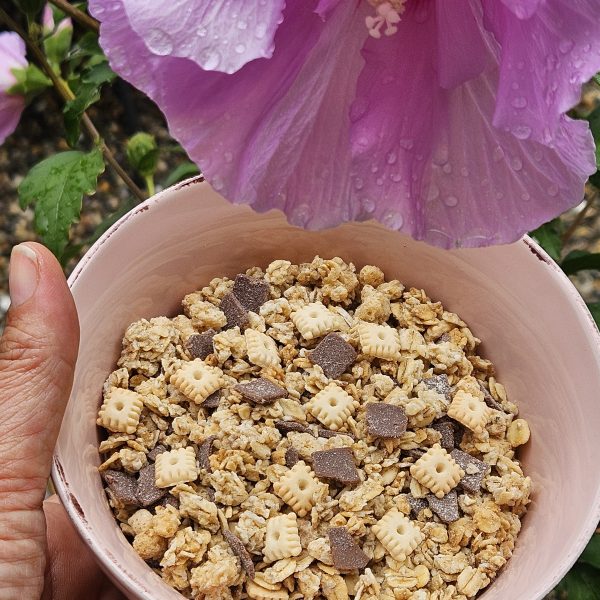 MUESLI CROCCANTI BISCOTTO E CIOCCOLATO