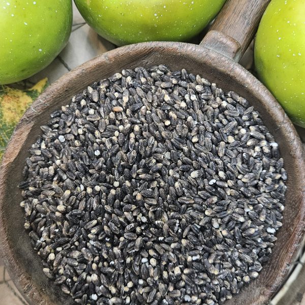 ORZO NERO DELL'APPENNINO TOSCO EMILIANO