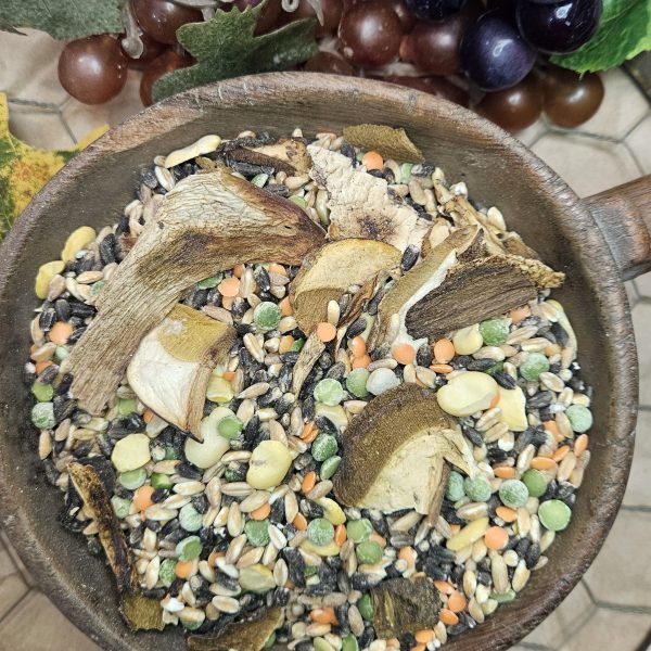 ZUPPA DELLE CARPINETE CON FUNGHI PORCINI